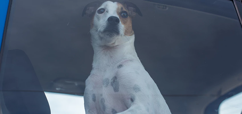 Car Lockout Solutions in Tehachapi, California